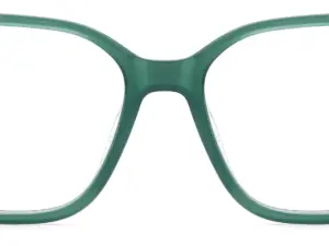 CARRERA CARRERA 3011 1ED