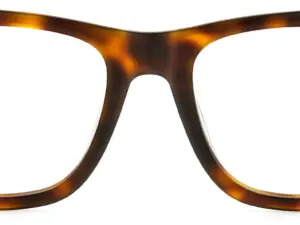 CARRERA CARRERA 3021 05L