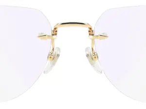 DAVID BECKHAM DB 7145 T5U