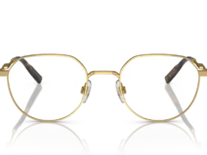 DOLCE & GABBANA DG1349 02