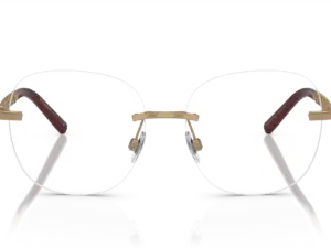 DOLCE & GABBANA DG1352 1363