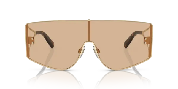 DOLCE & GABBANA DG2305 13655A