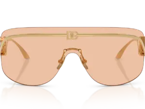 DOLCE & GABBANA  DG2320 02/73