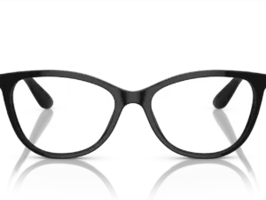 DOLCE & GABBANA  DG3258 501