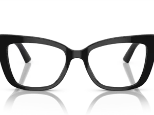 DOLCE & GABBANA  DG3308 501