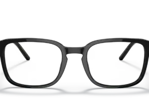 DOLCE & GABBANA  DG3349 501