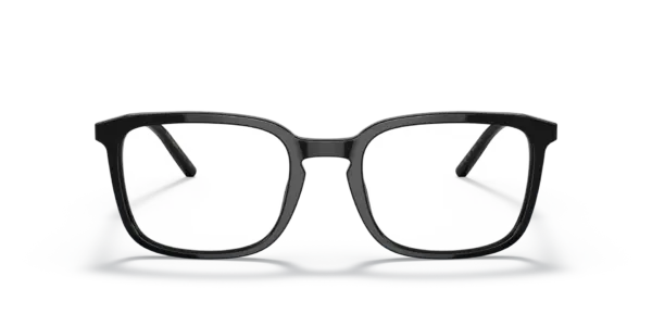 DOLCE & GABBANA  DG3349 501