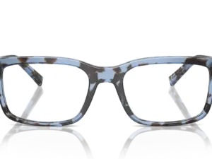 DOLCE & GABBANA  DG3352 3392