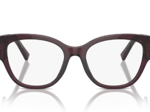 DOLCE & GABBANA  DG3377 3045