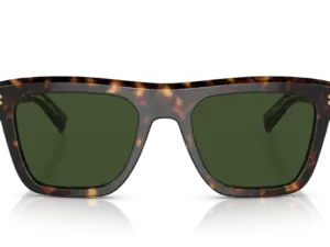 DOLCE & GABBANA  DG4420 502/71