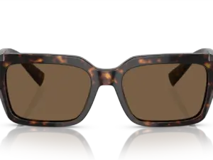 DOLCE & GABBANA  DG4460 502/73