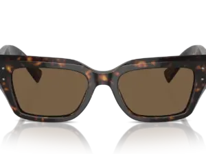 DOLCE & GABBANA  DG4462 502/73