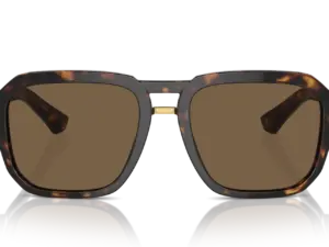 DOLCE & GABBANA  DG4464 502/73