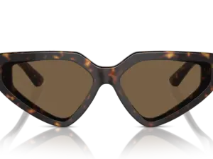 DOLCE & GABBANA  DG4469 502/73