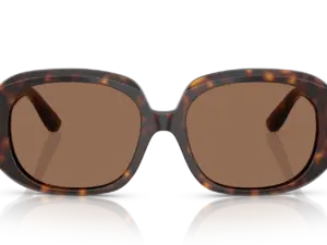 DOLCE & GABBANA  DG4476 502/73