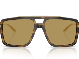 DOLCE & GABBANA  DG4477 344673