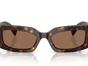 DOLCE & GABBANA  DG4479 502/73