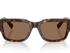 DOLCE & GABBANA  DG4483 502/73