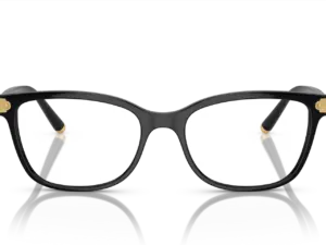 DOLCE & GABBANA  DG5036 501