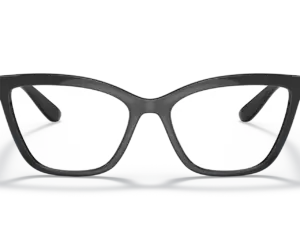 DOLCE & GABBANA  DG5076 501