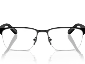 EMPORIO ARMANI  EA1162 3001