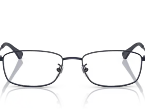 EMPORIO ARMANI  EA1169D 3160