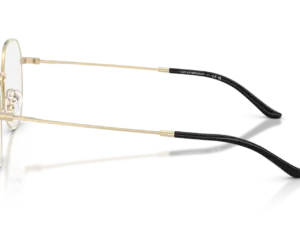 EMPORIO ARMANI  EA1174D 3013