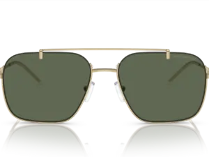 EMPORIO ARMANI  EA2150 301371