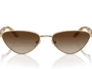 EMPORIO ARMANI  EA2153 301313