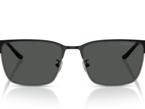 EMPORIO ARMANI  EA2164D 300187