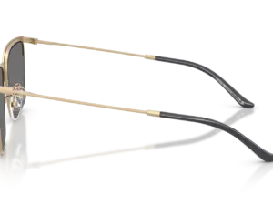 EMPORIO ARMANI  EA2164D 30026G