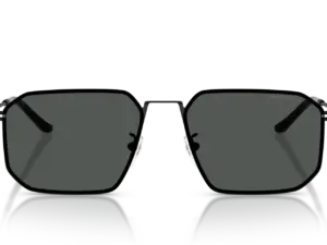 EMPORIO ARMANI  EA2165D 300187