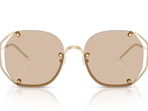 EMPORIO ARMANI  EA2168 301393