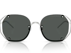 EMPORIO ARMANI  EA2168 301587