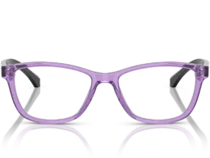 EMPORIO ARMANI  EA3099 6197