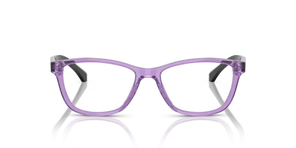 EMPORIO ARMANI  EA3099 6197