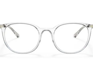 EMPORIO ARMANI  EA3168 5371