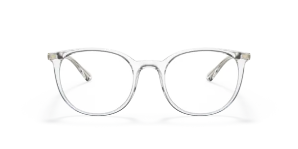EMPORIO ARMANI  EA3168 5371