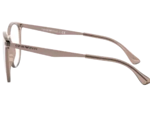 EMPORIO ARMANI  EA3168 5850