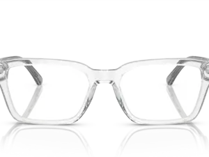 EMPORIO ARMANI  EA3192 5883