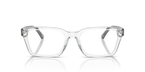 EMPORIO ARMANI  EA3192 5883