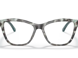 EMPORIO ARMANI  EA3193 5097