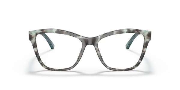EMPORIO ARMANI  EA3193 5097