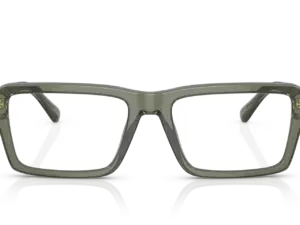 EMPORIO ARMANI  EA3206 5362