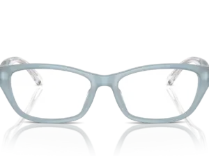 EMPORIO ARMANI  EA3238U 6096