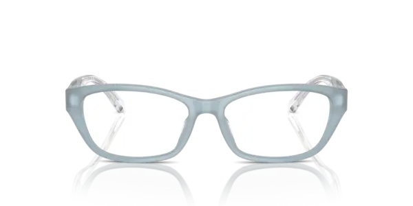 EMPORIO ARMANI  EA3238U 6096