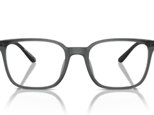 EMPORIO ARMANI  EA3242U 6106