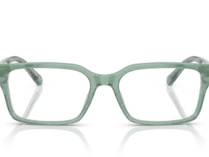 EMPORIO ARMANI  EA3244 6176
