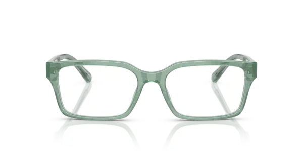 EMPORIO ARMANI  EA3244 6176