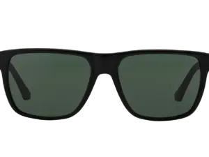 EMPORIO ARMANI  EA4035 501771